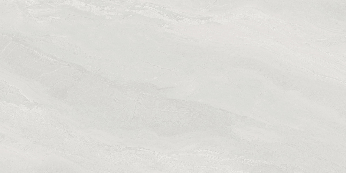 S12818